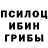 Псилоцибиновые грибы Psilocybe willie williamson