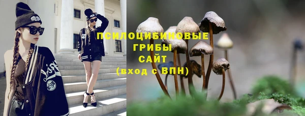 соль ск Мегион