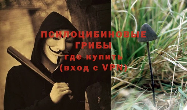 соль ск Мегион